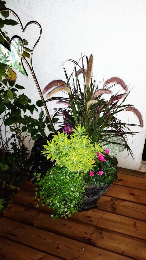 Hotel Atelier & Gardenhouse Glamping Monaco di Baviera Esterno foto